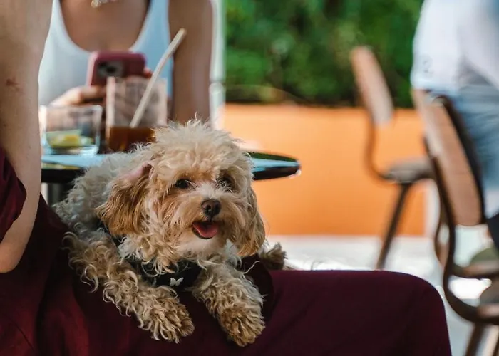 Quinta Da Bicuda * Cascais