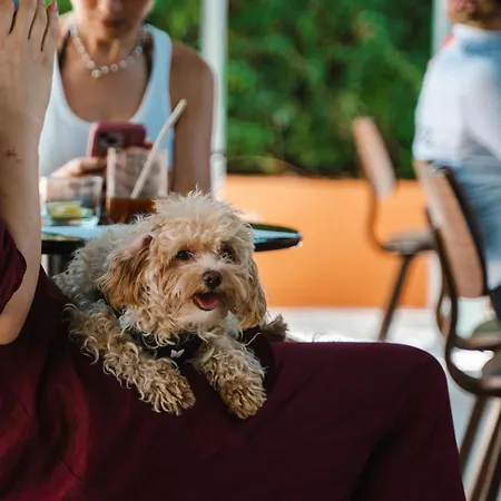 Quinta Da Bicuda * Κασκαΐς